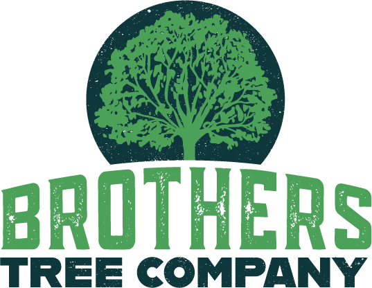 Brothers Tree Company